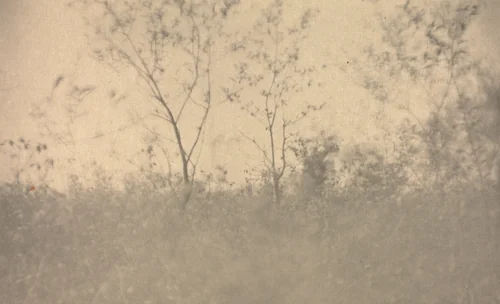 Camera Work: Spring by Joseph T. Keiley, book, 1907