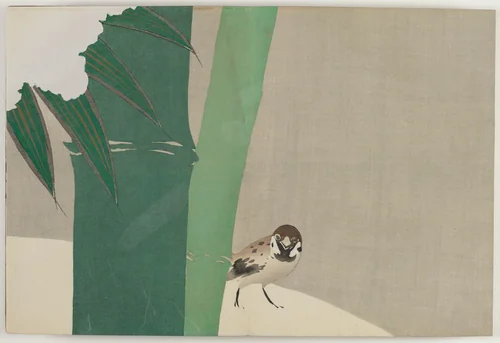 Flowers of a Hundred Worlds (Momoyogusa): Bamboo in Snow (Secchuchiku) by Kamisaka Sekka, book, 1909-1910