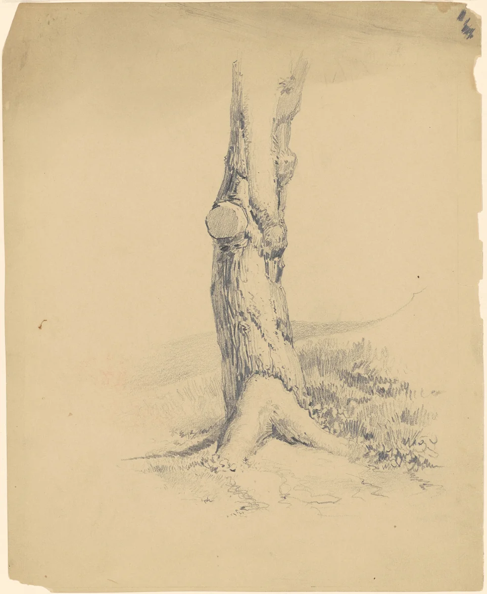 Old Tree Trunk by James Goodwyn Clonney, drawing, 1834-1844