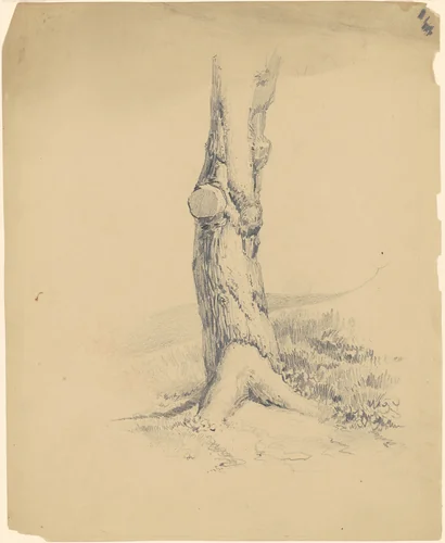 Old Tree Trunk by James Goodwyn Clonney, drawing, 1834-1844