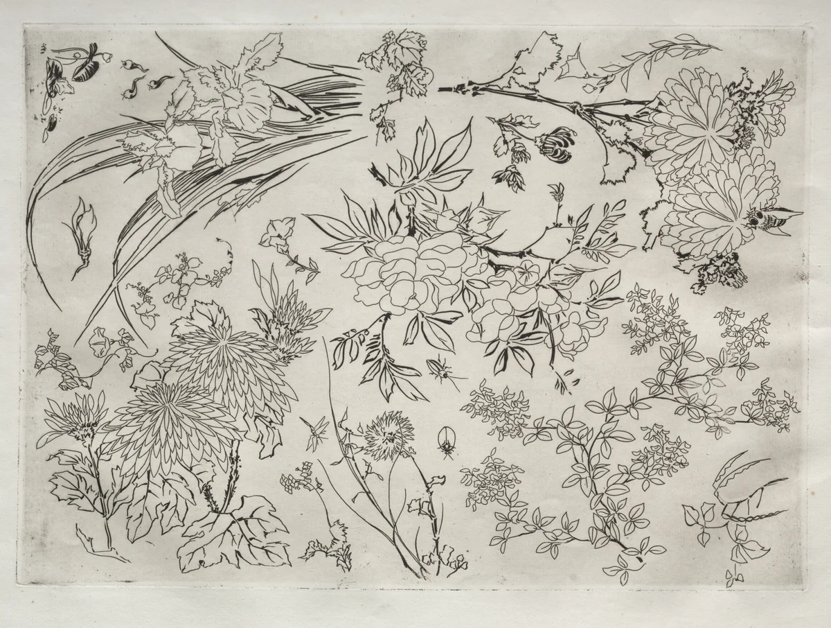 Dinner Service (Rousseau service): Flowers (no. 23) by Félix Bracquemond, print, 1866