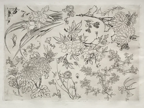 Dinner Service (Rousseau service): Flowers (no. 23) by Félix Bracquemond, print, 1866