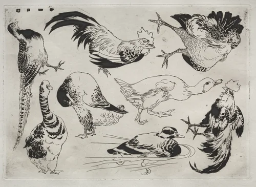Dinner Service (Rousseau service): Roosters, ducks, etc. (no. 13) by Félix Bracquemond, print, 1866