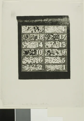 Study for Share Certificates in a Fraudulent Franco-Californian Company, No. 1 by Charles Meryon, print, 1855