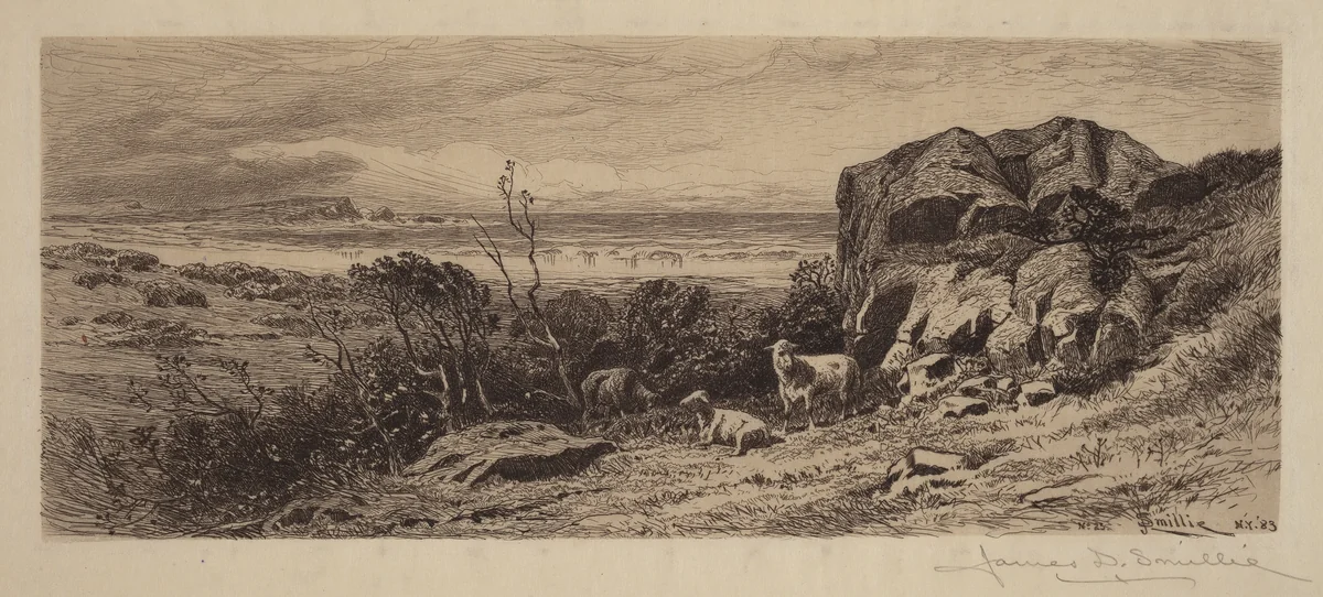 A Bit on Marblehead Neck by James David Smillie, print, 1883