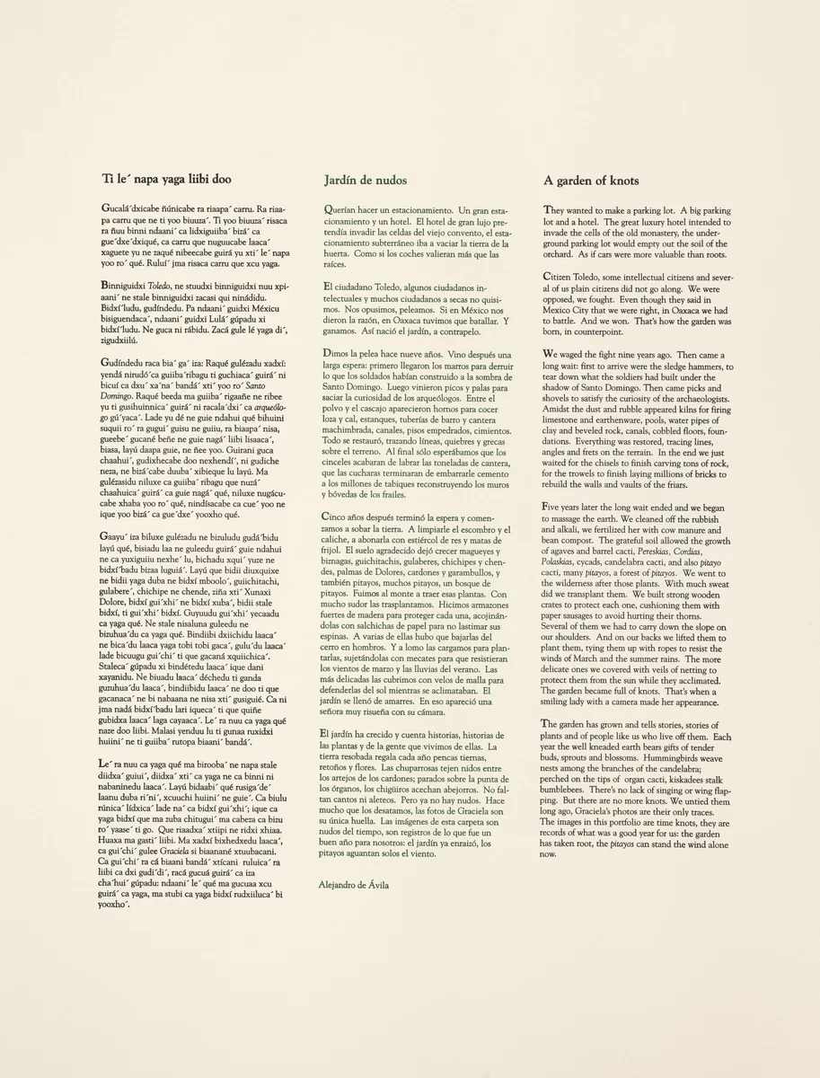 Garden by Graciela Iturbide, print, 2002