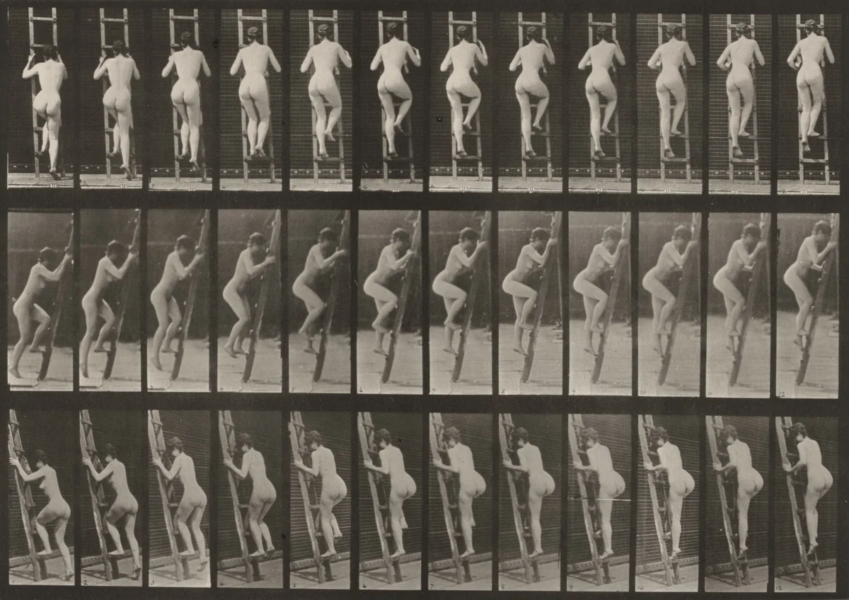 Plate Number 112. Ascending a ladder by Eadweard Muybridge, photograph, 1887