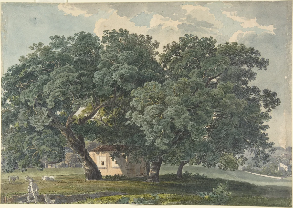Italian Landscape with Trees (recto) by Friedrich Salathé, drawing, 1815-1821