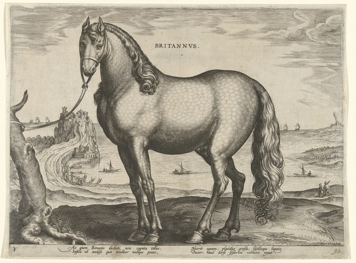 Paard uit Bretagne (Brittanus) by Unknown, print, 1583-1587