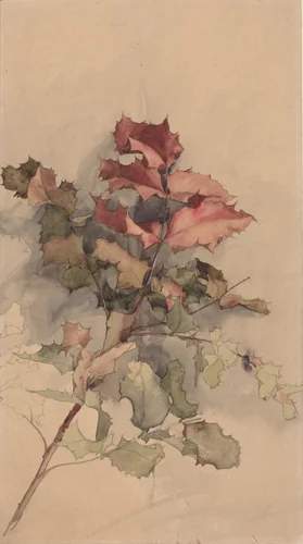 Study of the shrub by Karel Vitezslav Masek, drawing, 1900