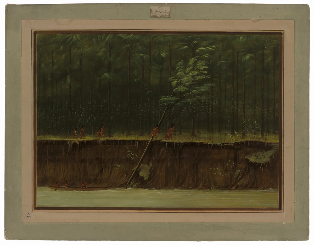 View of the Lower Mississippi by George Catlin, painting, 1861-1869