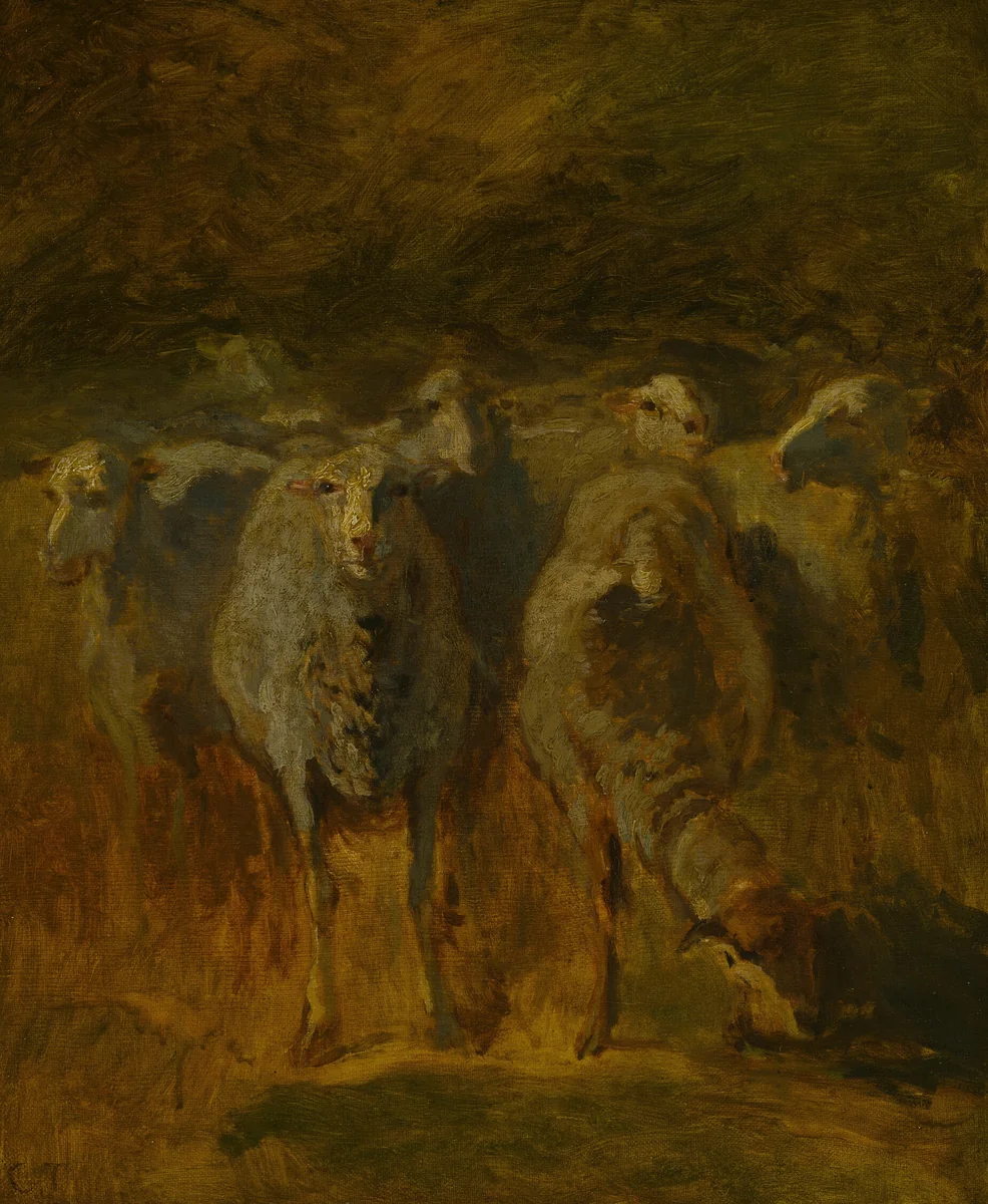Unfinished Study of Sheep by Constant Troyon, painting, 1845-1855