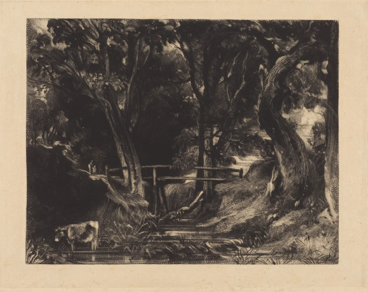 A Dell, Helmingham Park, Suffolk by David Lucas; John Constable, print, 1830