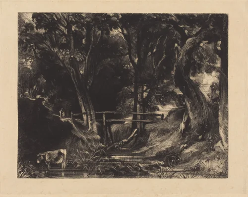 A Dell, Helmingham Park, Suffolk by David Lucas; John Constable, print, 1830