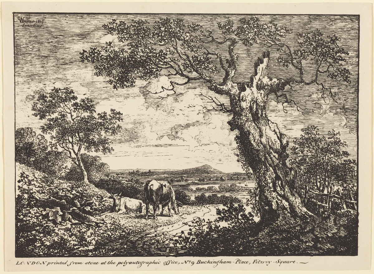 Landscape with Two Cows by George Walker, print, 1807