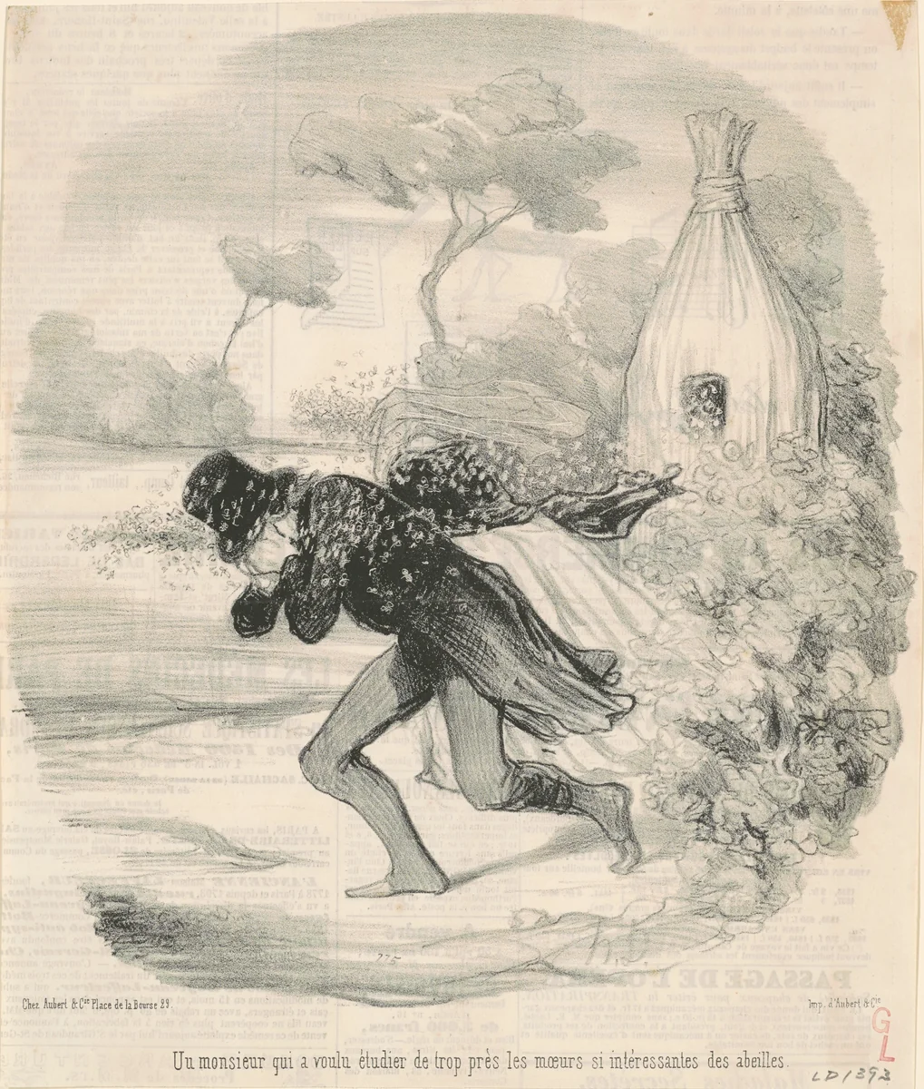 Un monsieur qui voulu étudier ... les moeurs ... des abeilles by Honoré Daumier, print, 1845