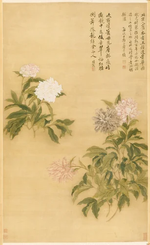 Herbaceous Peony by Yun Shouping, painting, 1685