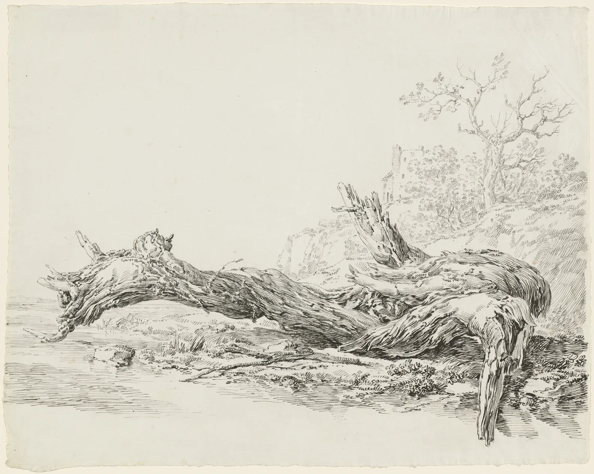 An Ancient Tree Fallen Beside a Stream by Jean Antoine Constantin, drawing, 1756-1844