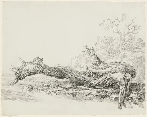 An Ancient Tree Fallen Beside a Stream by Jean Antoine Constantin, drawing, 1756-1844