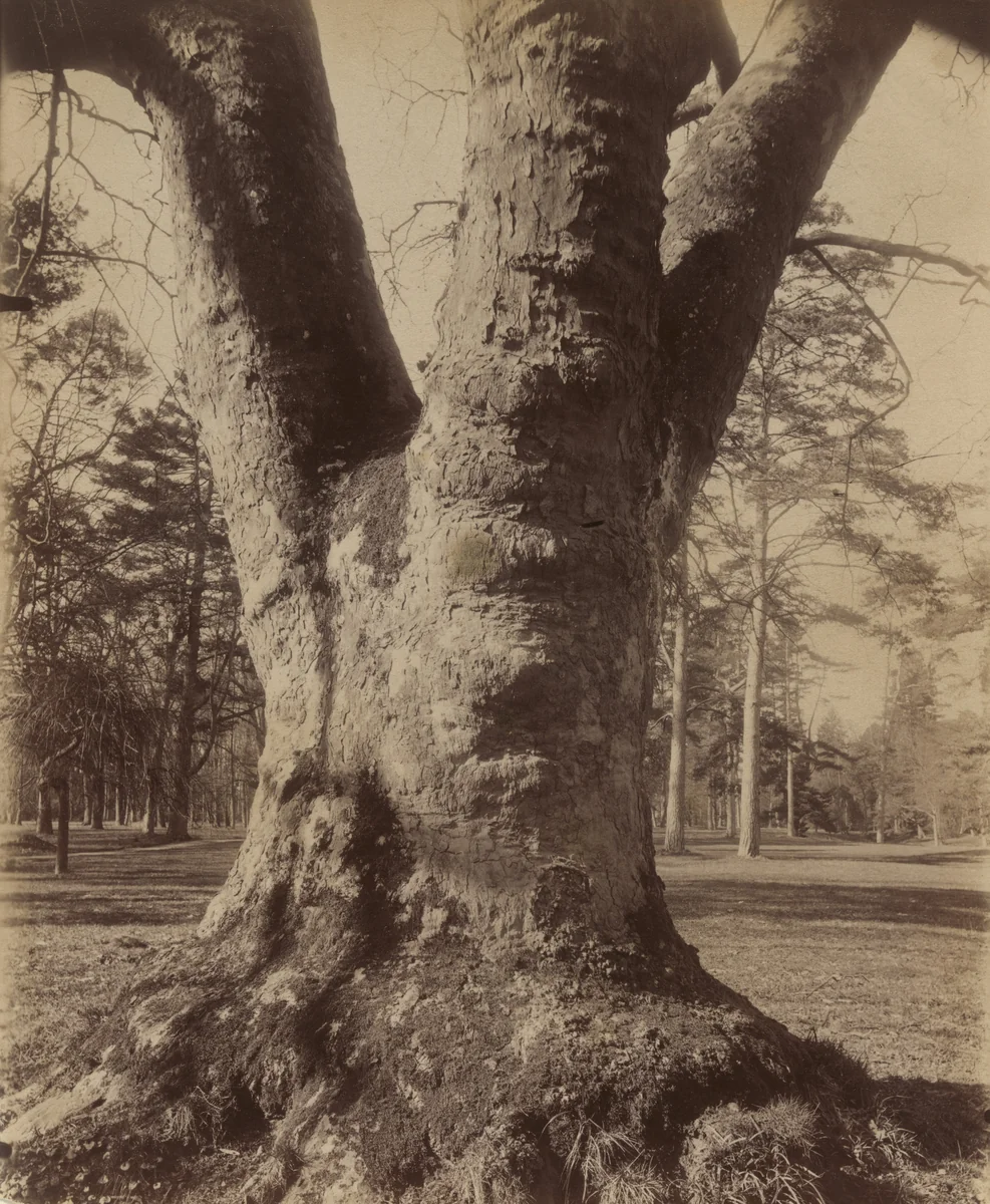 Petit Trianon by Eugène Atget, photograph, 1910