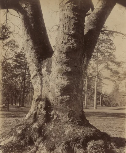 Petit Trianon by Eugène Atget, photograph, 1910