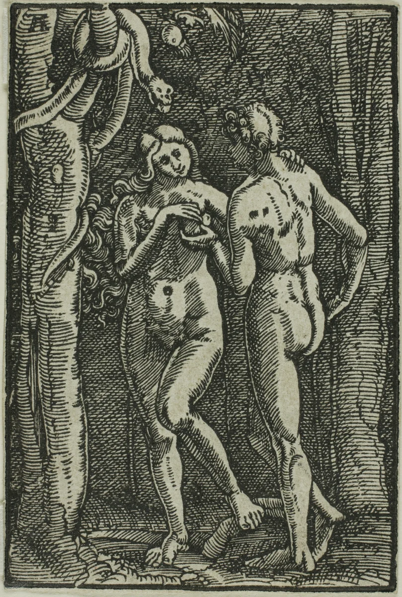 The Fall of Man, from The Fall and Redemption of Man by Albrecht Altdorfer, print, 1510-1518