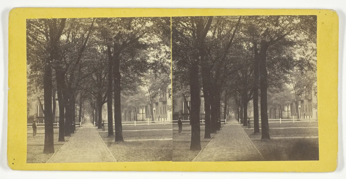 Bull St. from Madison Square by J. N. Wilson, photograph, 1860-1880