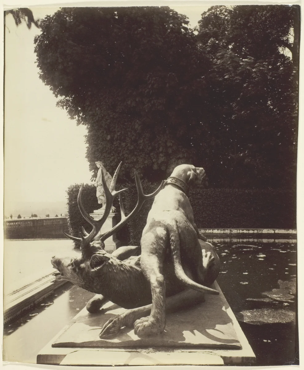 Versailles, Fontaine de Point du Jour, (Limier Abattant un Cerf par Houzeau) by Jean-Eugène-Auguste Atget, photograph, 1903