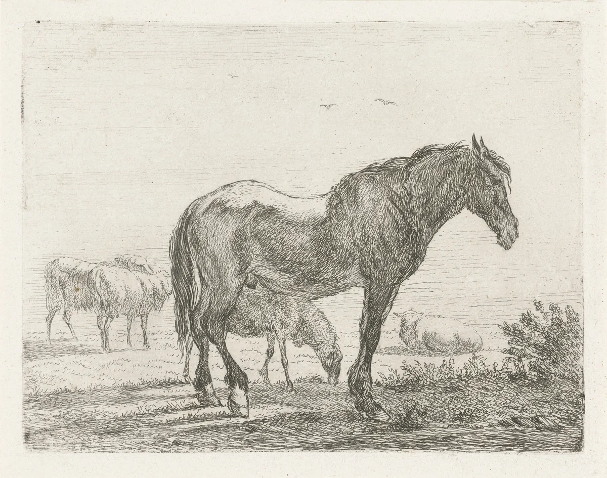 Staand paard voor kudde schapen by Jacobus Cornelis Gaal, print, 1851