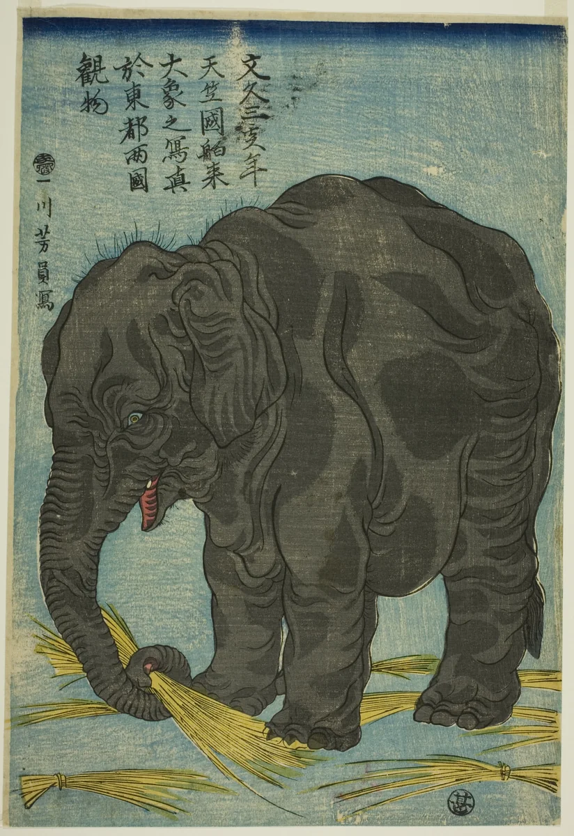 Picture of Large Elephant from India (Tenjiku hakurai dai zo no shashin), An Attraction at Ryogoku in the Eastern Capital (Toto Ryogoku mimono) by Utagawa Yoshikazu, print, 1863