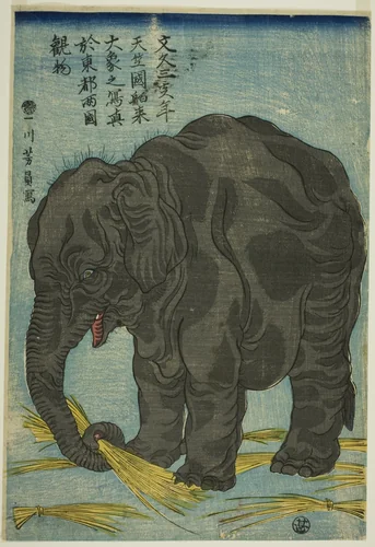 Picture of Large Elephant from India (Tenjiku hakurai dai zo no shashin), An Attraction at Ryogoku in the Eastern Capital (Toto Ryogoku mimono) by Utagawa Yoshikazu, print, 1863