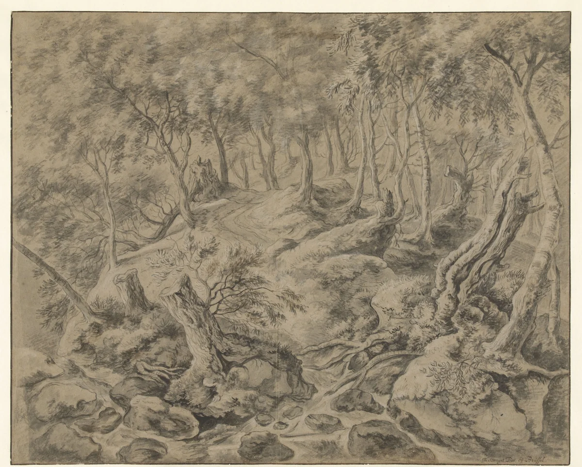Bosgezicht in het Bois de Soignes bij Brussel by Anthonie Waterloo, drawing, 1619-1690
