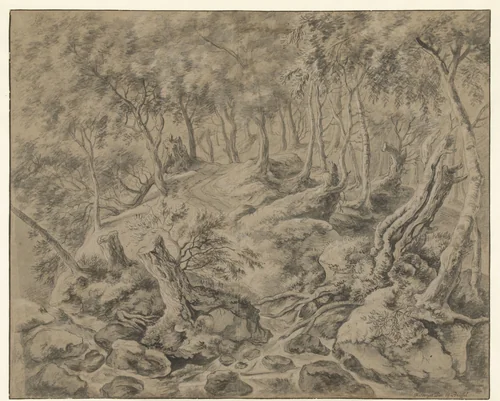 Bosgezicht in het Bois de Soignes bij Brussel by Anthonie Waterloo, drawing, 1619-1690