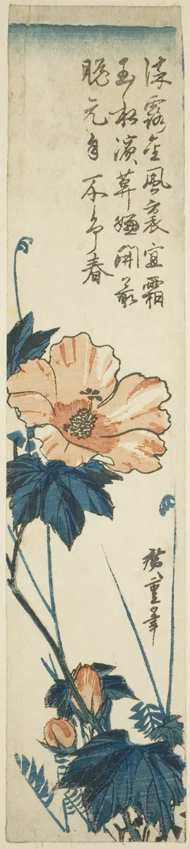 Hibiscus by Utagawa Hiroshige (歌川広重), print, 1830-1840
