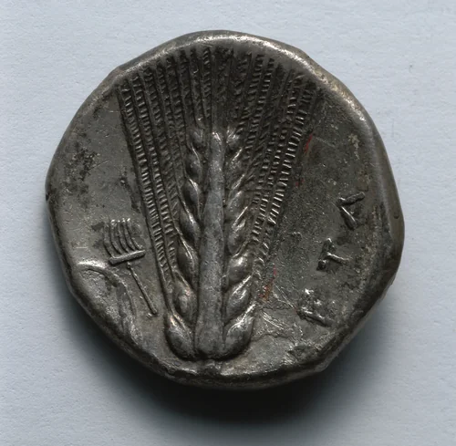 Stater: Barley (reverse) by Unknown, metalwork, -330--300