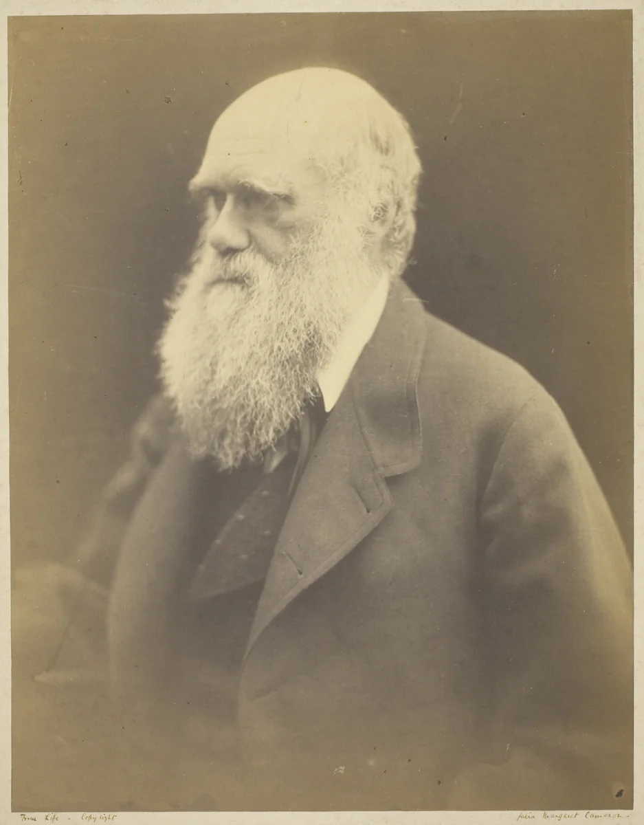 Charles Darwin by Julia Margaret Cameron, photograph, 1868