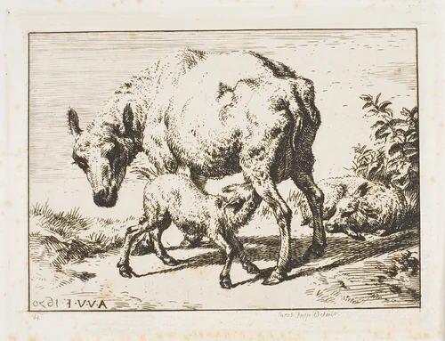 The Ewe with Two Lambs by Charles Meryon, print, 1850