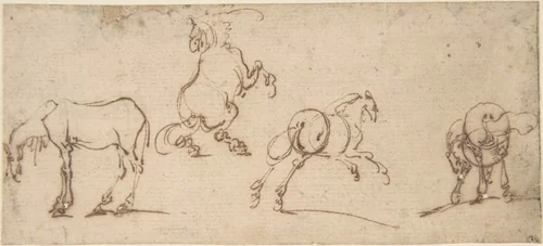 Four Studies of Horses by Jacques Callot, drawing, 1600-1635