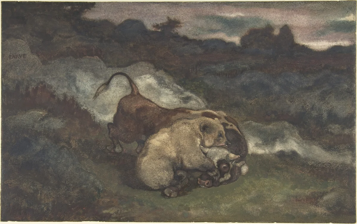 Bear Killing a Bull by Antoine-Louis Barye, drawing, 1810-1875