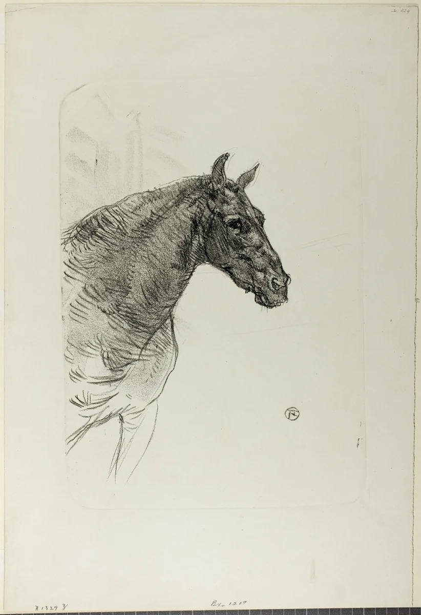 Philibert the Pony by Henri de Toulouse-Lautrec, print, 1898