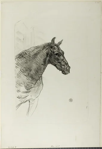 Philibert the Pony by Henri de Toulouse-Lautrec, print, 1898