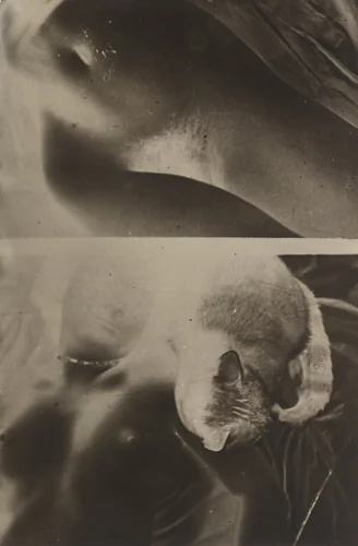 Untitled by Franz Roh, photograph, 1928