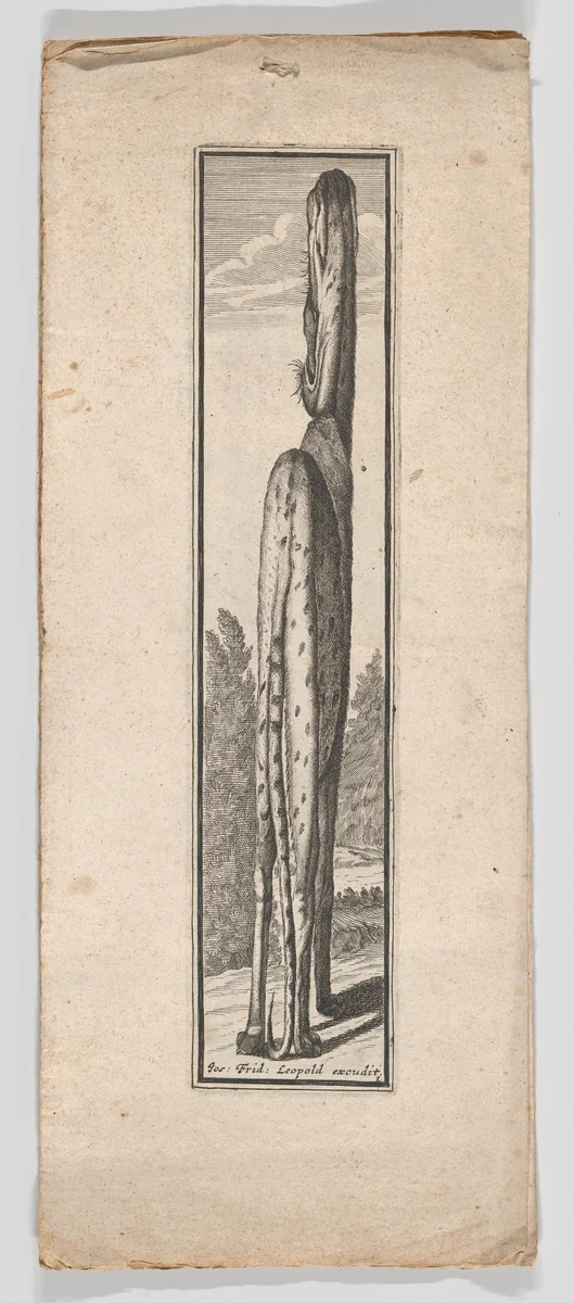 Series of Six Anamorphic Animal Prints by Joseph Friedrich Leopold, print, 1695-1705