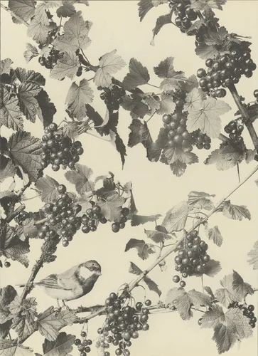 Page from Festons und Dekorative Gruppen by Unidentified Photographer, photograph, 1893