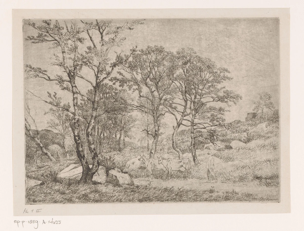 Gezicht in het bos van Fontainebleau met twee koeien by Jean Pierre François Lamorinière, print, 1838-1889