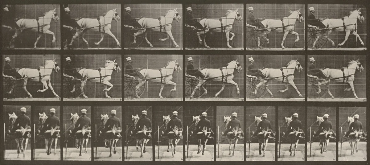 Plate Number 611. "Katydid" trotting, harnessed to sulky by Eadweard Muybridge, photograph, 1887