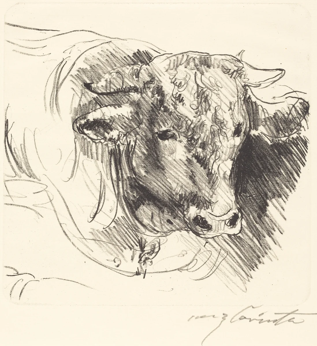 Stierkopf (Head of a Steer) by Lovis Corinth, print, 1912