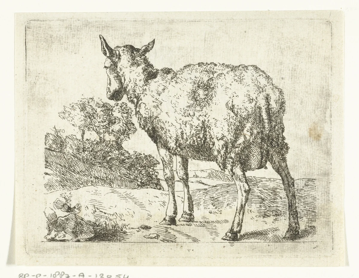 Staand schaap, van achter gezien by anonymous, print, 1657-1800