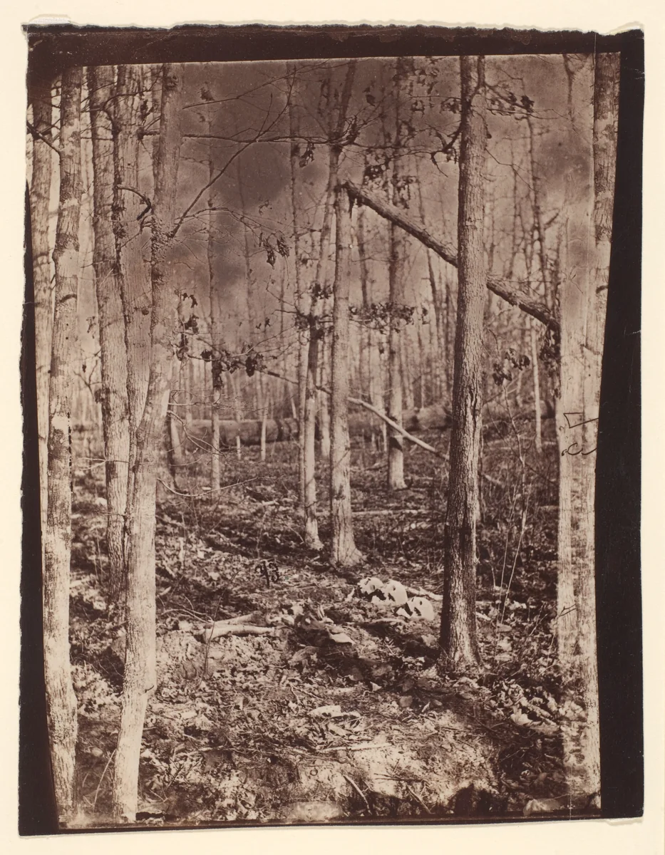 [The Wilderness Battlefield] by G. O. Brown, photograph, 1866