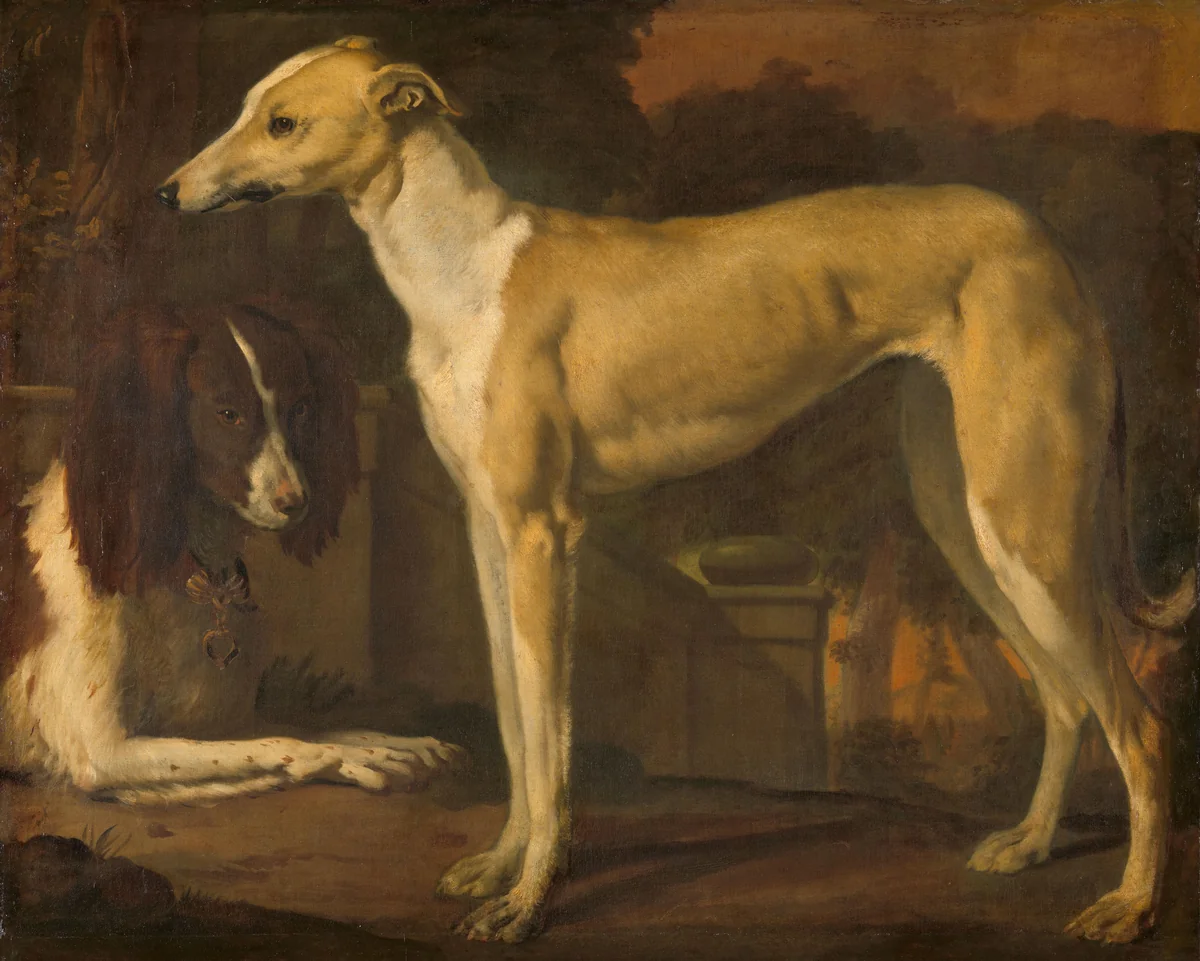 Portrait of a Greyhound and Spaniel by Jan Weenix, painting, 1665-1680